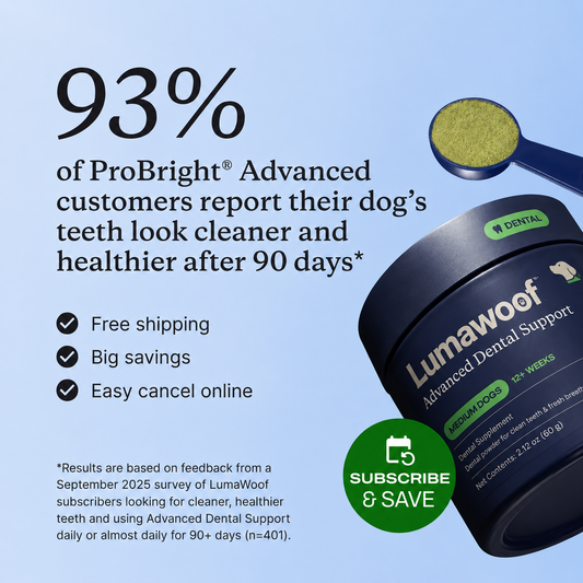 Fresh Breath & Dental Support