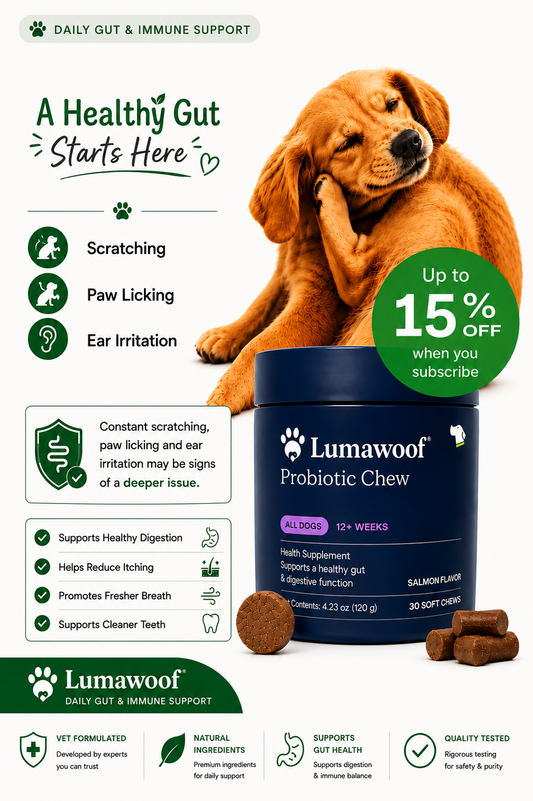 Lumawoof® Tuggtabletter för Allergi & Maghälsa